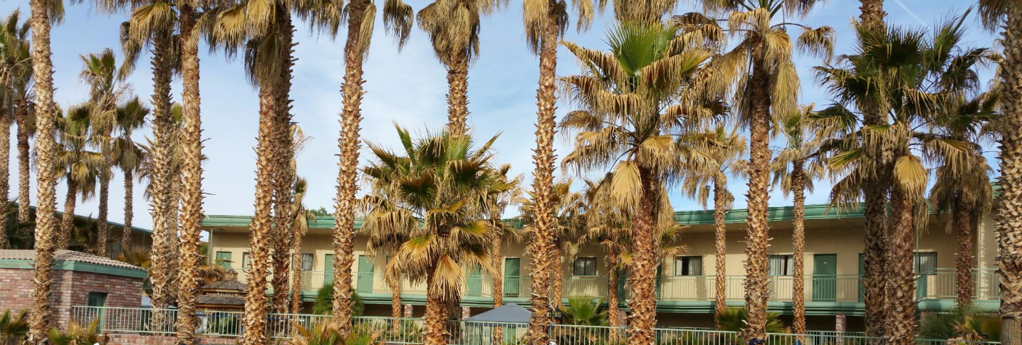 Stagecoach Hotel & Casino Beatty Bagian luar foto